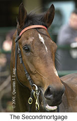 r3thesecondmortgage2.jpg (11725 bytes)