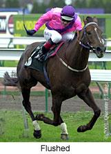 r4flushed.jpg (10651 bytes)