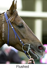 r4flushed2.jpg (11425 bytes)