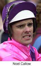 r4noelcallow.jpg (12551 bytes)