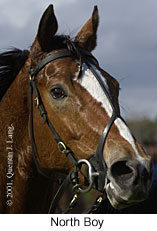 r5northboy2.jpg (11629 bytes)