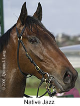 r6nativejazz2.jpg (10797 bytes)