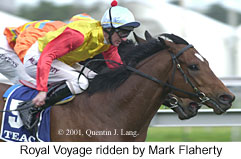 r7royalvoyage.jpg (15632 bytes)