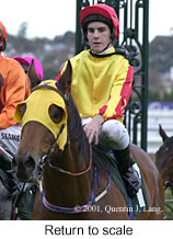 r8rtosc.jpg (14753 bytes)