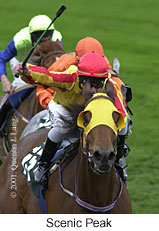 r8scenicpeak.jpg (14443 bytes)