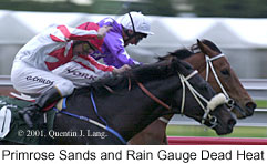 r9headheat.jpg (14587 bytes)