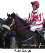 r9raingauge.jpg (11125 bytes)