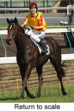 Return to scale (14008 bytes)