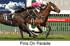 Pins On Parade (14772 bytes)