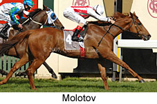 Molotov (14772 bytes)