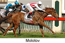 Molotov (14772 bytes)