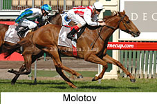 Molotov (14772 bytes)