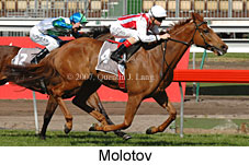 Molotov (14772 bytes)