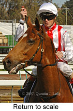 Return to scale (14008 bytes)