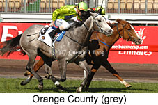 Orange County (14772 bytes)