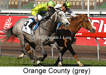 Orange County (14772 bytes)