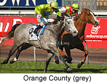 Orange County (14772 bytes)