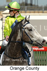 Orange County (14772 bytes)