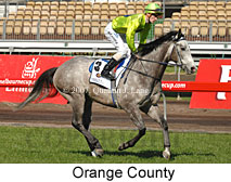 Orange County (14772 bytes)