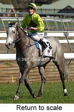 Return to scale (14008 bytes)