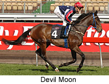 Devil Moon (14772 bytes)