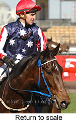 Return to scale (14008 bytes)