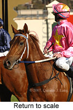 Return to scale (14008 bytes)