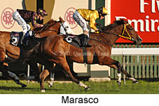 Marasco (14772 bytes)
