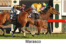 Marasco (14772 bytes)