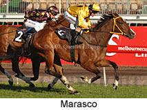 Marasco (14772 bytes)