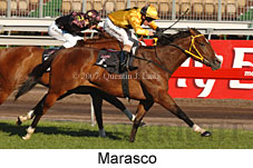 Marasco (14772 bytes)
