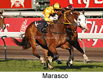 Marasco (14772 bytes)