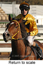 Return to scale (14008 bytes)