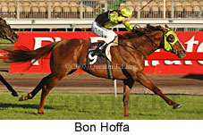 Bon Hoffa (14772 bytes)