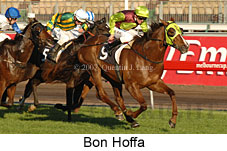 Bon Hoffa (14772 bytes)