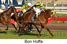 Bon Hoffa (14772 bytes)