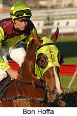 Bon Hoffa (14772 bytes)