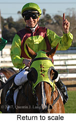 Return to scale (14008 bytes)