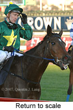 Return to scale (14008 bytes)