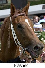 r1flashed2.jpg (9017 bytes)