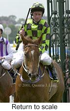 r1rtosc.jpg (10177 bytes)