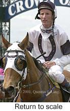 r2rtosc.jpg (9793 bytes)