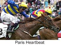 r3parisheartbeat.jpg (11294 bytes)