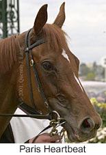 r3parisheartbeat2.jpg (8733 bytes)