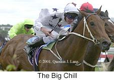 r4thebigchill.jpg (9668 bytes)