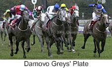 r5greysplate.jpg (11033 bytes)