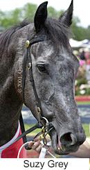 r5suzygrey2.jpg (9808 bytes)