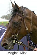 r6magicalmiss3.jpg (8509 bytes)