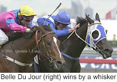 r8belledujour.jpg (11970 bytes)