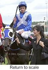 r8rtosc.jpg (10142 bytes)